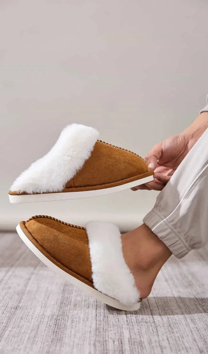 c260c628-392b-46b9-b456-c0e27dfffe35-Max